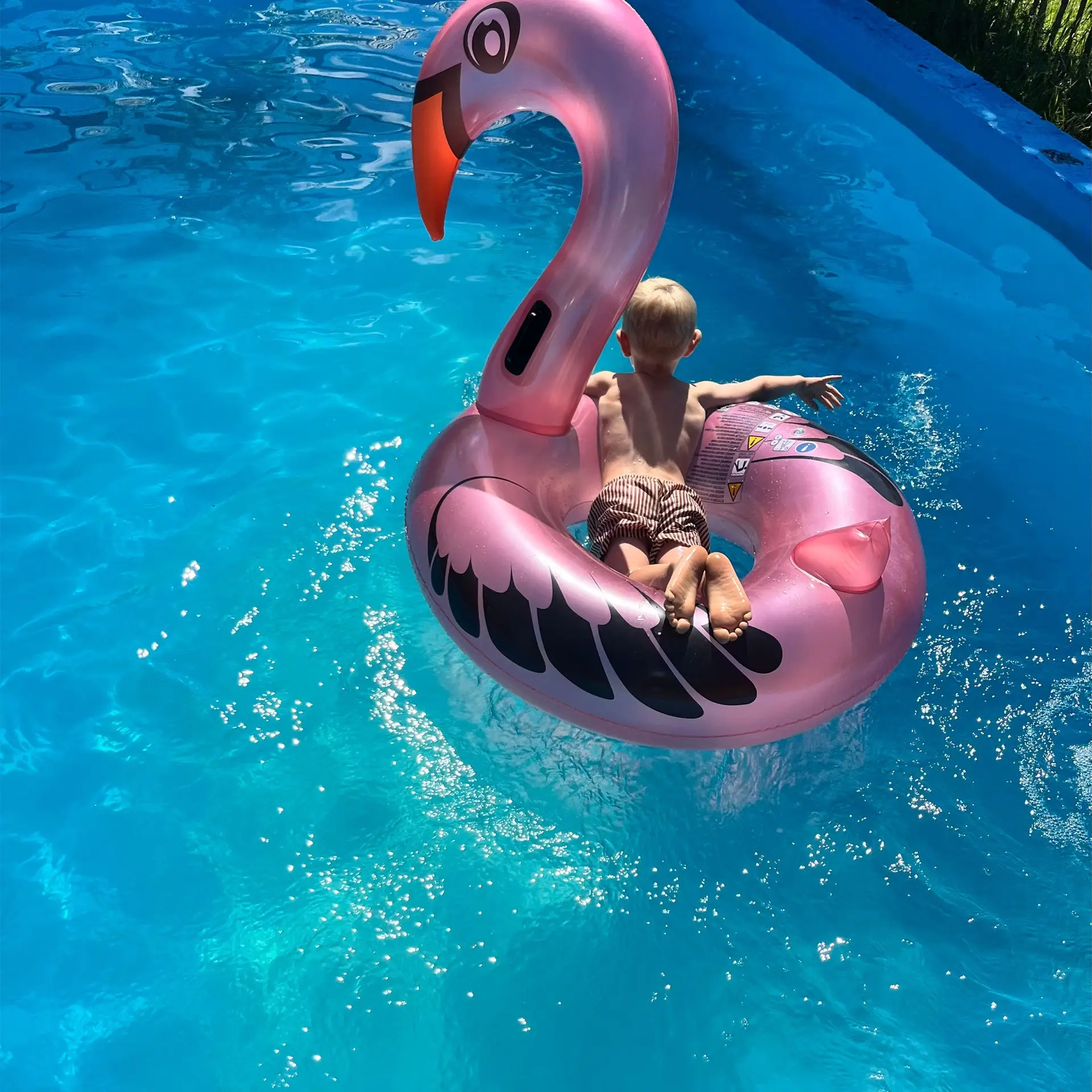 Pool mit Liegewiese auf dem Ferienhof